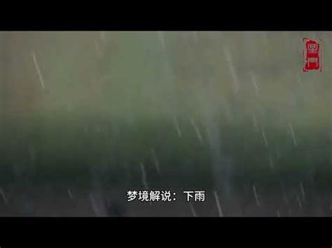 夢落雨